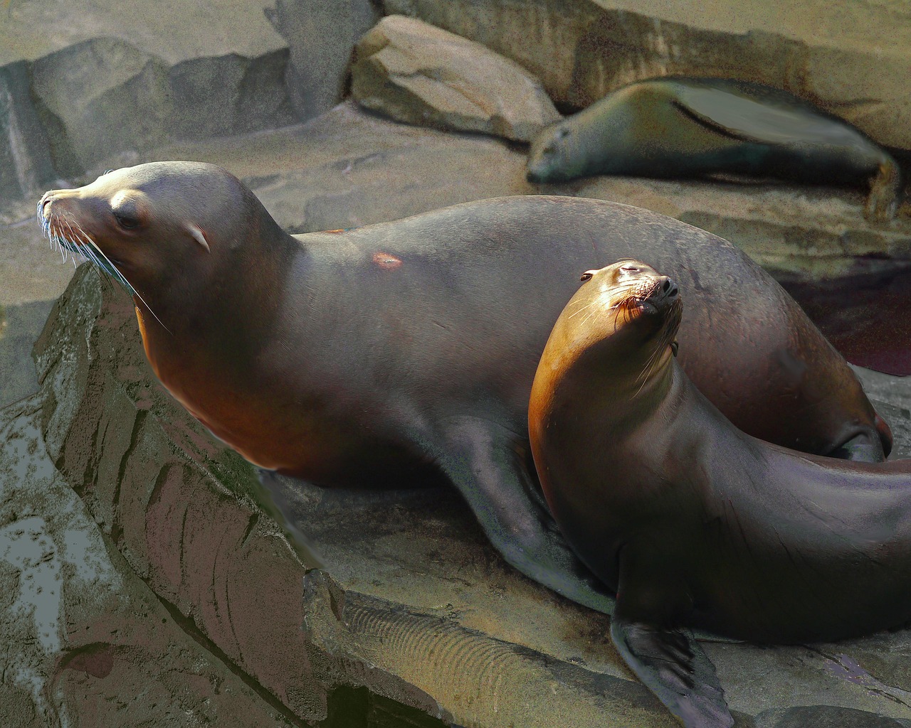Korting Wildlands Emmen