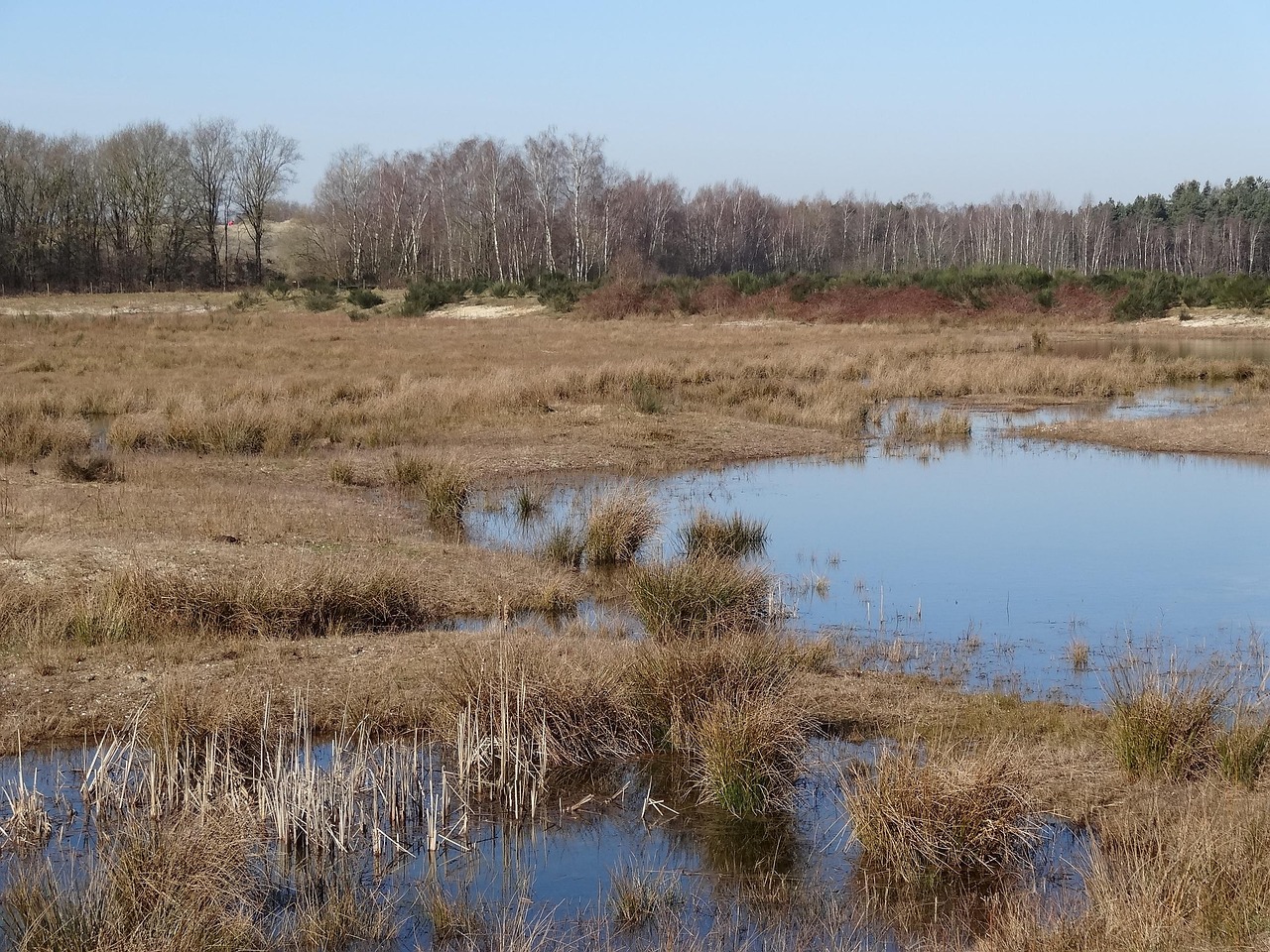 Korting Dierenrijk Nuenen