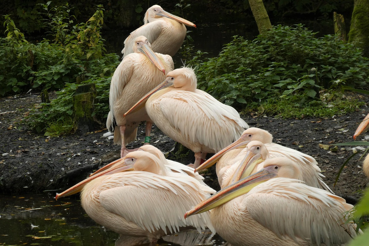 Korting AquaZoo Leeuwarden