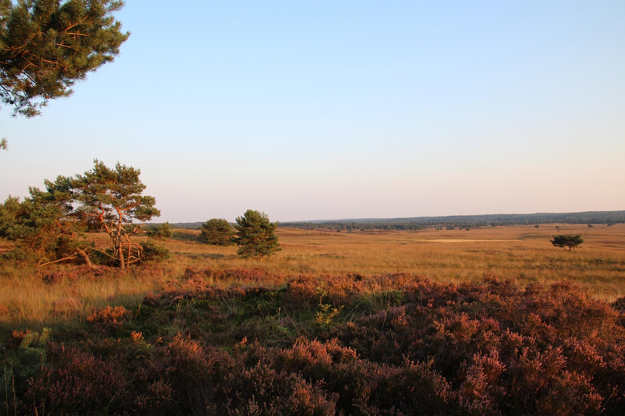 Korting Het Nationale Park De Hoge Veluwe