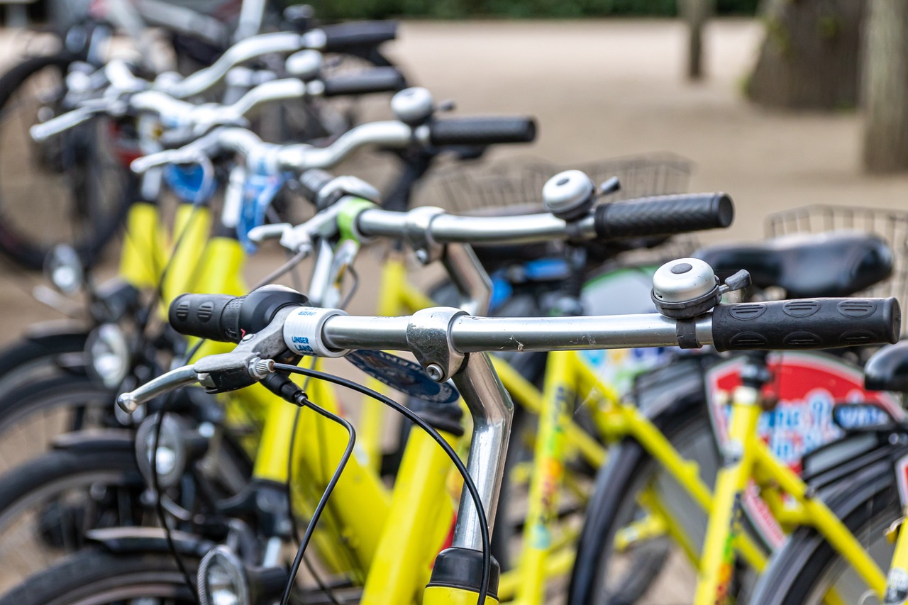 Lidl elektrische fiets vs Gazelle – prijsverschil verklaard