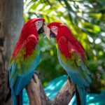 Lidl pannenset vs BK – kwaliteit voor een fractie van de prijs?