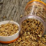 Aldi rijstkoker getest – perfecte rijst of papperig resultaat?