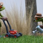 Aldi grasmaaier vs Bosch – welke maait beter?