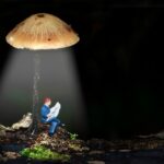 Action mini beamer vs Epson – beeldkwaliteit onder de loep